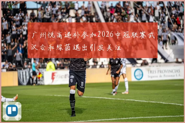 广州悦高递补参加2026中冠联赛武汉合和绿茵退出引发关注